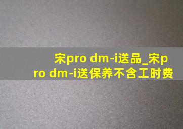 宋pro dm-i送品_宋pro dm-i送保养不含工时费